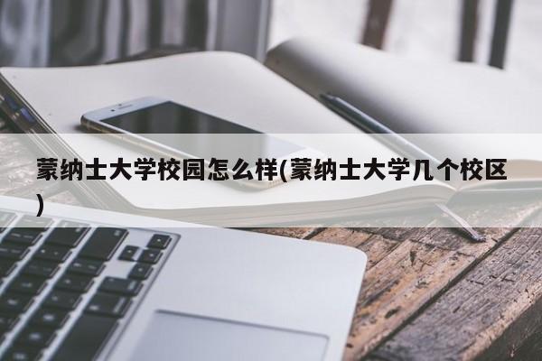 蒙纳士大学校园怎么样(蒙纳士大学几个校区)