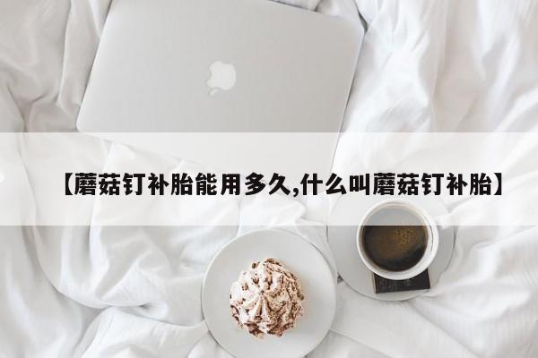 【蘑菇钉补胎能用多久,什么叫蘑菇钉补胎】