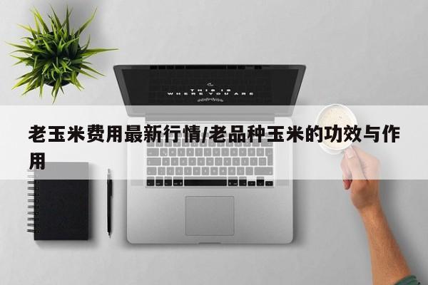 老玉米费用最新行情/老品种玉米的功效与作用