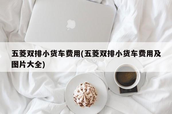 五菱双排小货车费用(五菱双排小货车费用及图片大全)