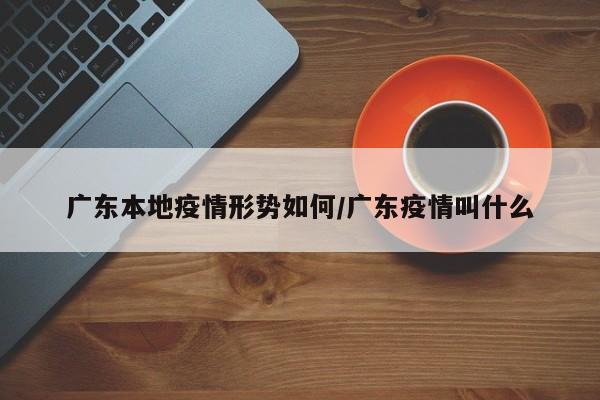 广东本地疫情形势如何/广东疫情叫什么