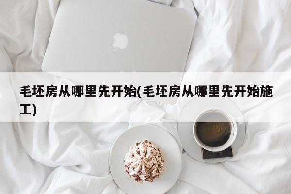 毛坯房从哪里先开始(毛坯房从哪里先开始施工)