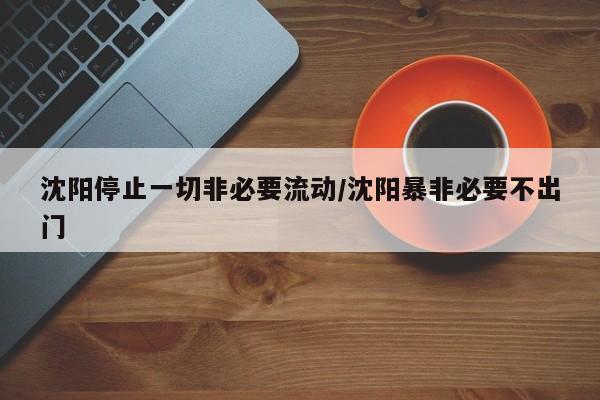沈阳停止一切非必要流动/沈阳暴非必要不出门