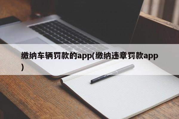 缴纳车辆罚款的app(缴纳违章罚款app)