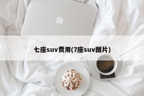 七座suv费用(7座suv图片)