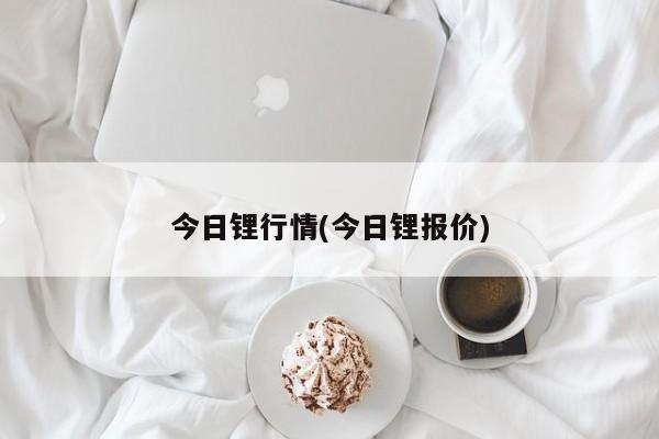 今日锂行情(今日锂报价)
