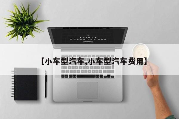【小车型汽车,小车型汽车费用】