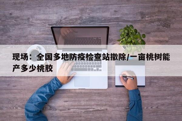 现场:全国多地防疫检查站撤除/一亩桃树能产多少桃胶