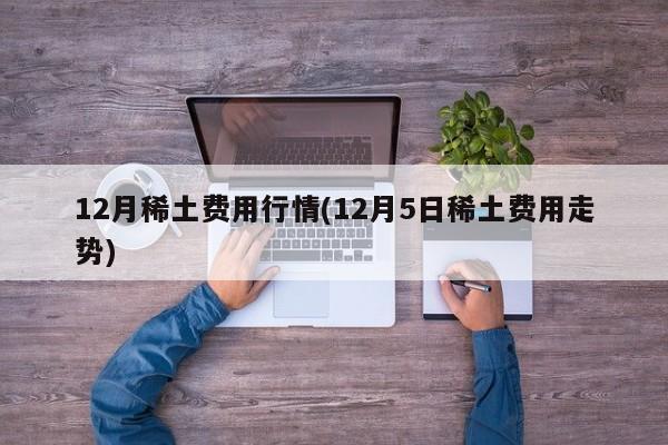 12月稀土费用行情(12月5日稀土费用走势)