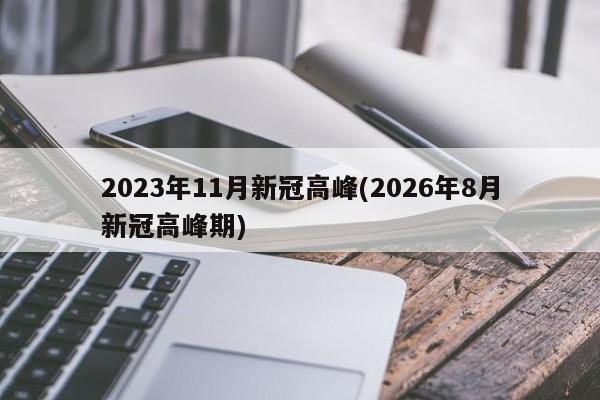2023年11月新冠高峰(2026年8月新冠高峰期)